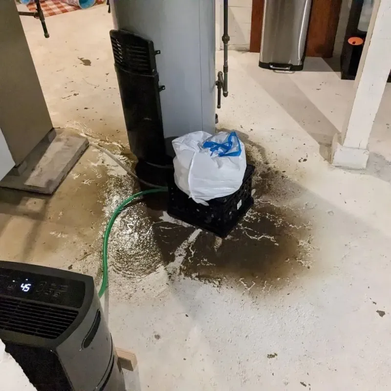 Sewage Backup Cleanup Service in Itta Bena, MS